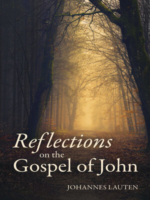 cover image of Reflections on the Gospel of John